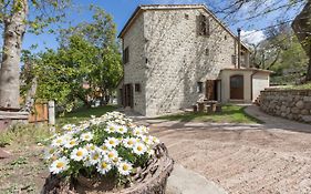 B&B Podere Legnotorto